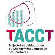 Tacct